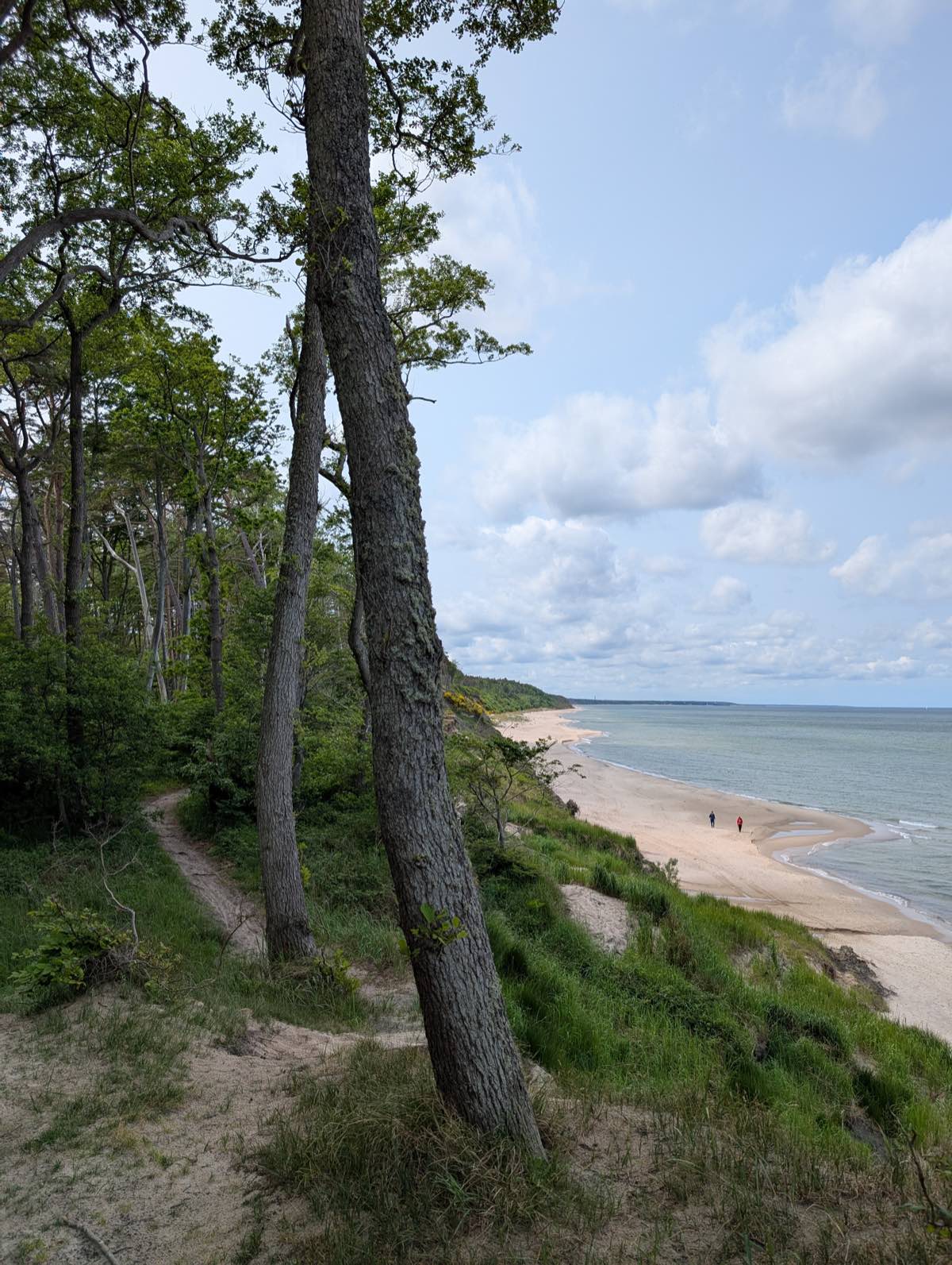 Coastal Cycling Routes